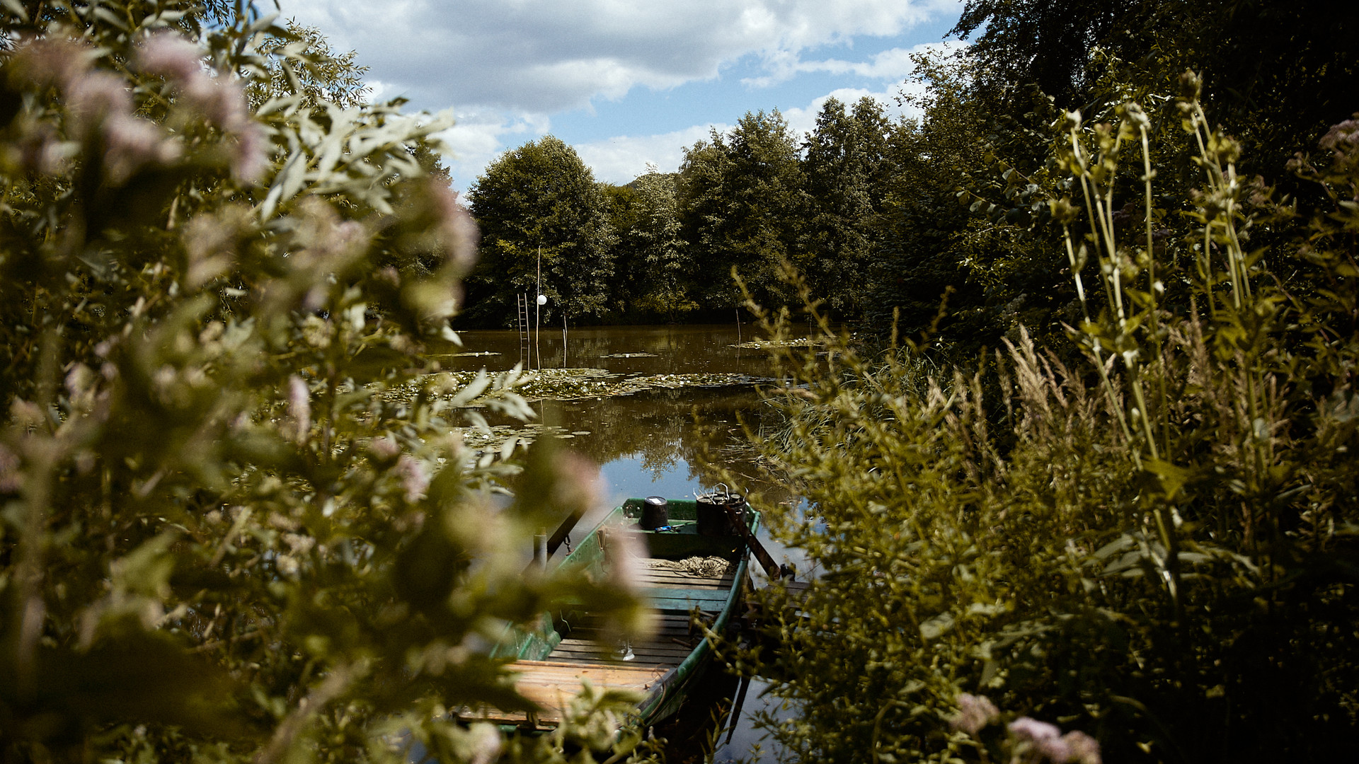 _MG_4585.jpg