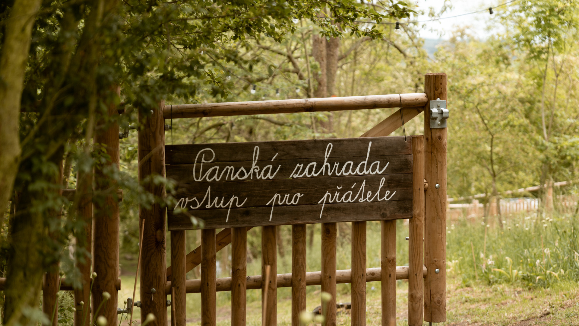 DIVICE Prvni vikend-213.jpg