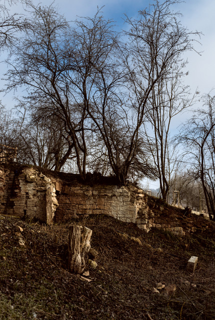 Zahrada-052.jpg