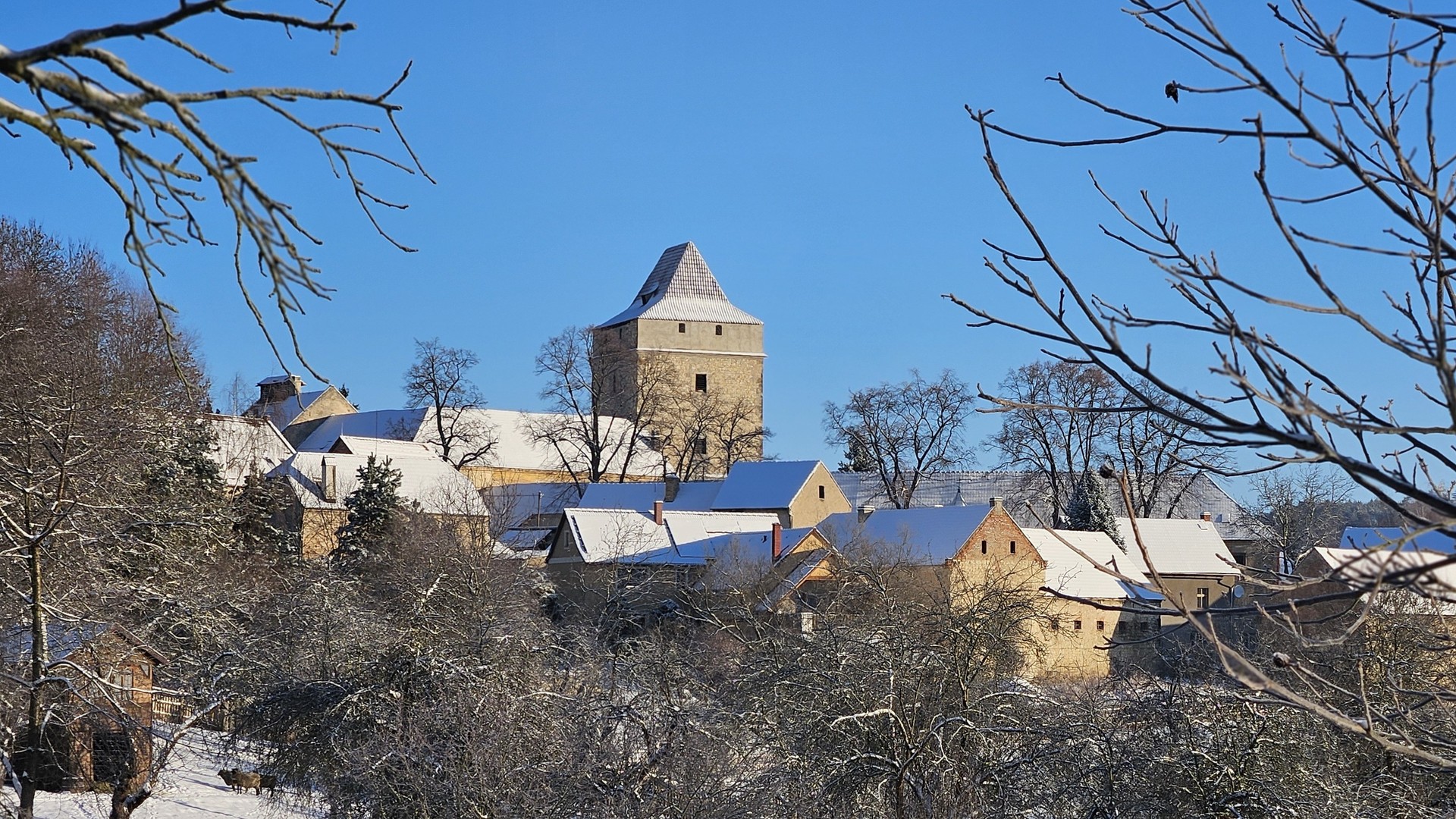 20240119_091549 orez.jpg